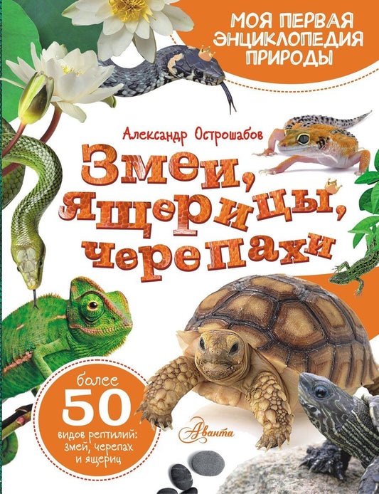 Обложка книги "Александр Острошабов: Змеи, ящерицы, черепахи"