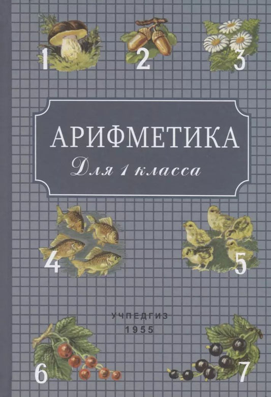 Обложка книги "Александр Пчелко: Арифметика для 1 класса"