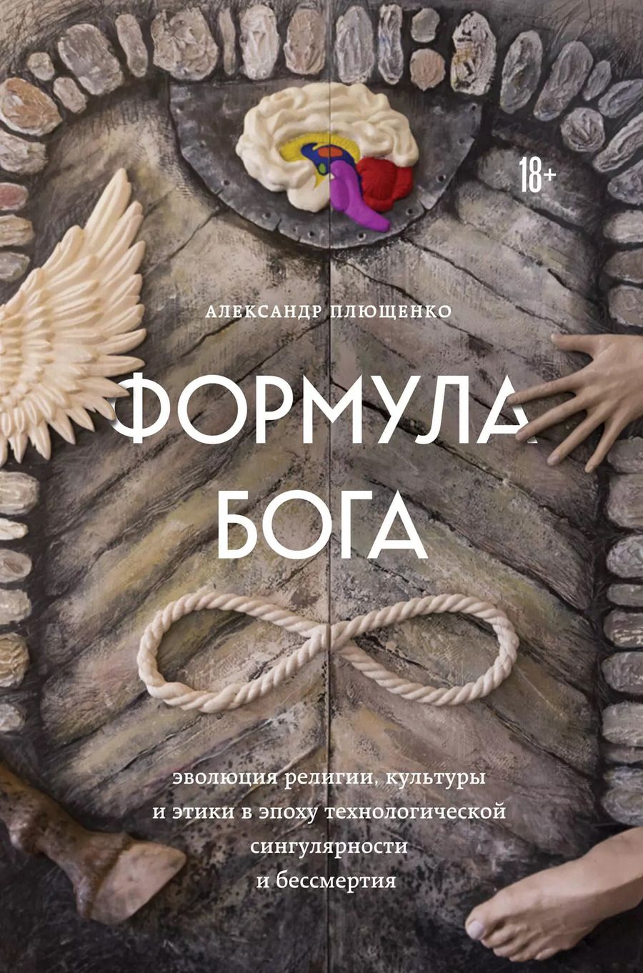 Обложка книги "Александр Плющенко: Формула Бога: эволюция религии, культуры и этики в эпоху технологической сингулярности и бессмертия"