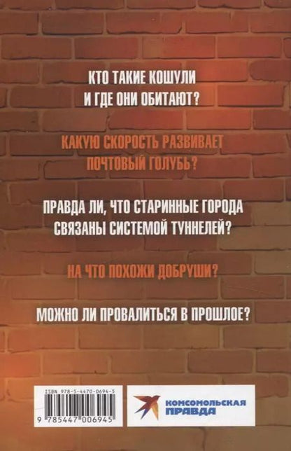 Фотография книги "Александр Рогоза: Добруши и кошули. Тайна башни"