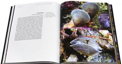 Фотография книги "Александр Семенов: Волшебный мир холодных морей"