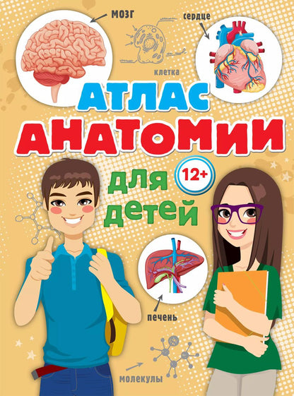 Обложка книги "Александр Швырев: Атлас анатомии для детей"