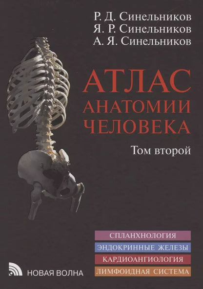 Обложка книги "Александр Синельников: Атлас анатомии человека. В 3 томах. Том второй. Учение о внутренностях, эндокринных железах, сердечно-сосудистой и лимфоидной системах"