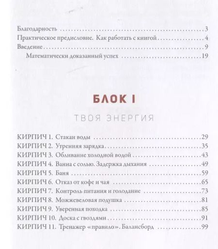 Фотография книги "Александр Синеркин: 50 кирпичей успеха"