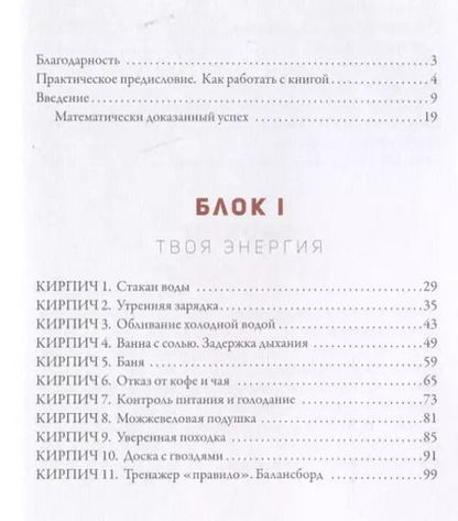 Фотография книги "Александр Синеркин: 50 кирпичей успеха"