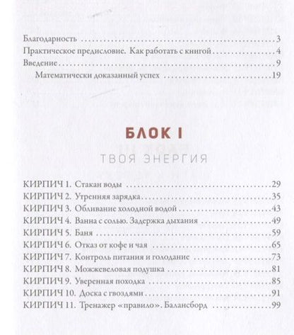 Фотография книги "Александр Синеркин: 50 кирпичей успеха"