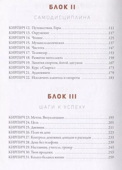 Фотография книги "Александр Синеркин: 50 кирпичей успеха"