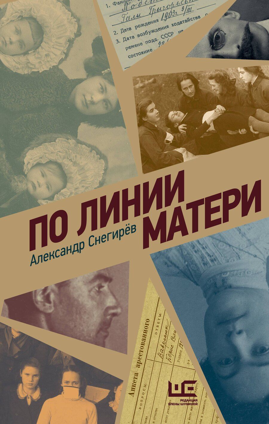 Обложка книги "Александр Снегирёв: По линии матери"