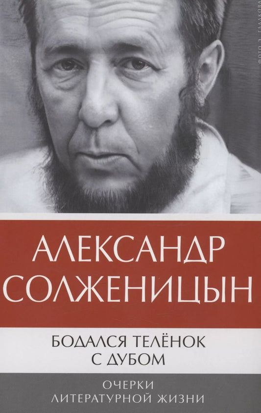 Обложка книги "Александр Солженицын: Бодался теленок с дубом: Очерки литературной жизни"