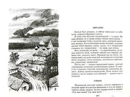 Фотография книги "Александр Солженицын: Матренин двор"