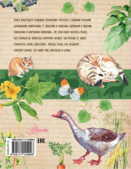 Фотография книги "Александр Тамбиев: Домашние животные"