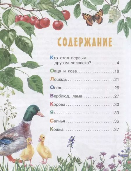 Фотография книги "Александр Тамбиев: Домашние животные"