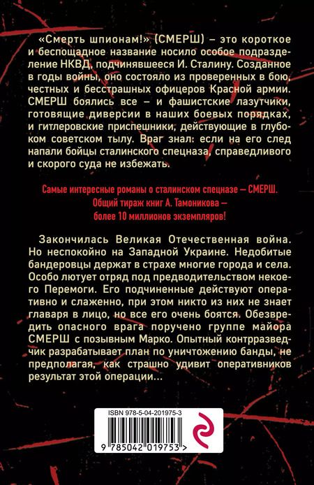 Фотография книги "Александр Тамоников: Бой с невидимкой"