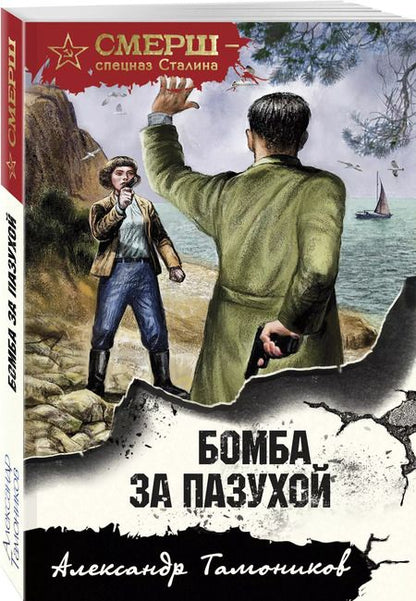 Фотография книги "Александр Тамоников: Бомба за пазухой"