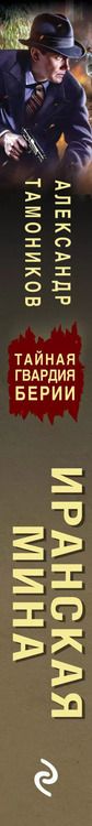 Фотография книги "Александр Тамоников: Иранская мина"