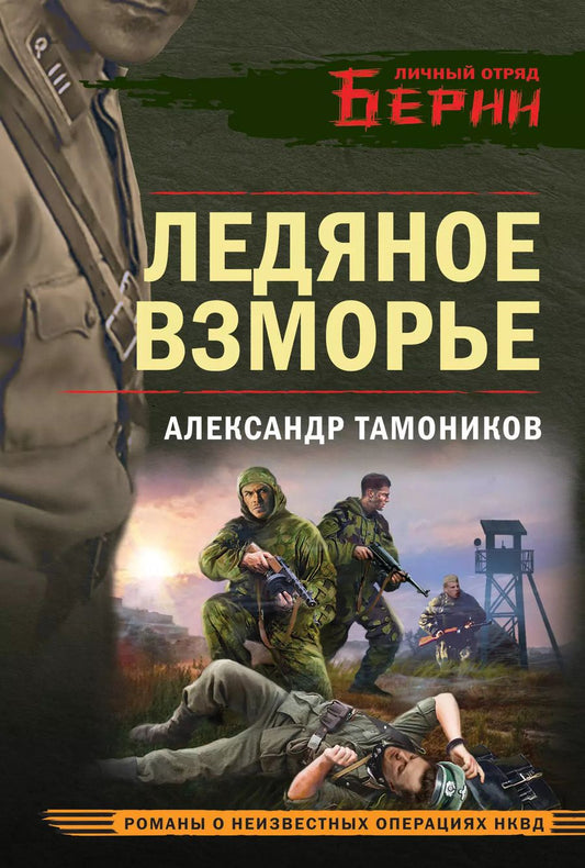 Обложка книги "Александр Тамоников: Ледяное взморье"