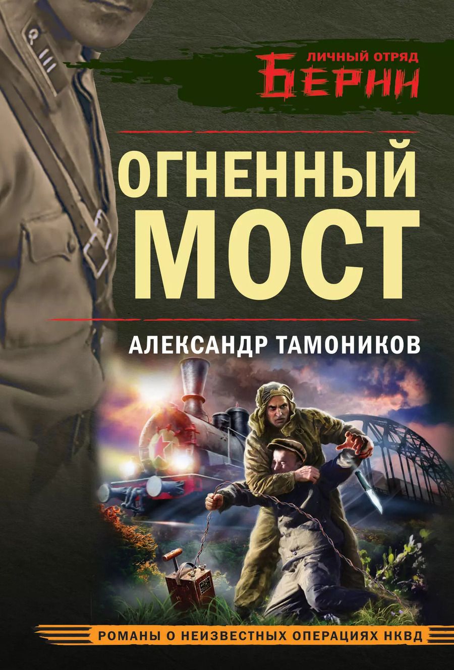 Обложка книги "Александр Тамоников: Огненный мост"