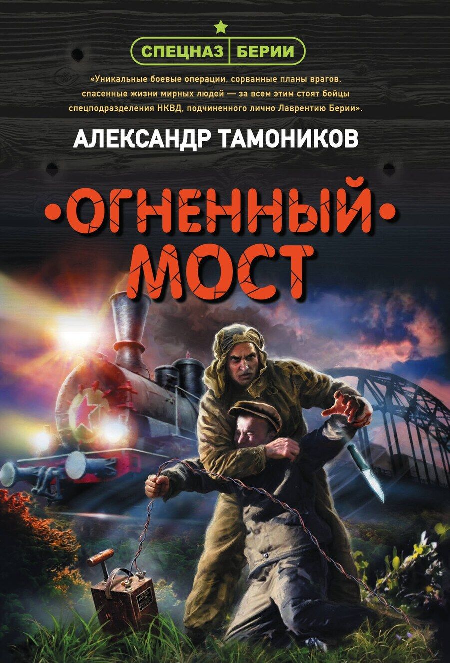 Обложка книги "Александр Тамоников: Огненный мост"
