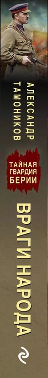 Фотография книги "Александр Тамоников: Враги народа"