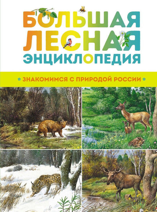 Обложка книги "Александр Тихонов: Большая лесная энциклопедия. Знакомимся с природой России"