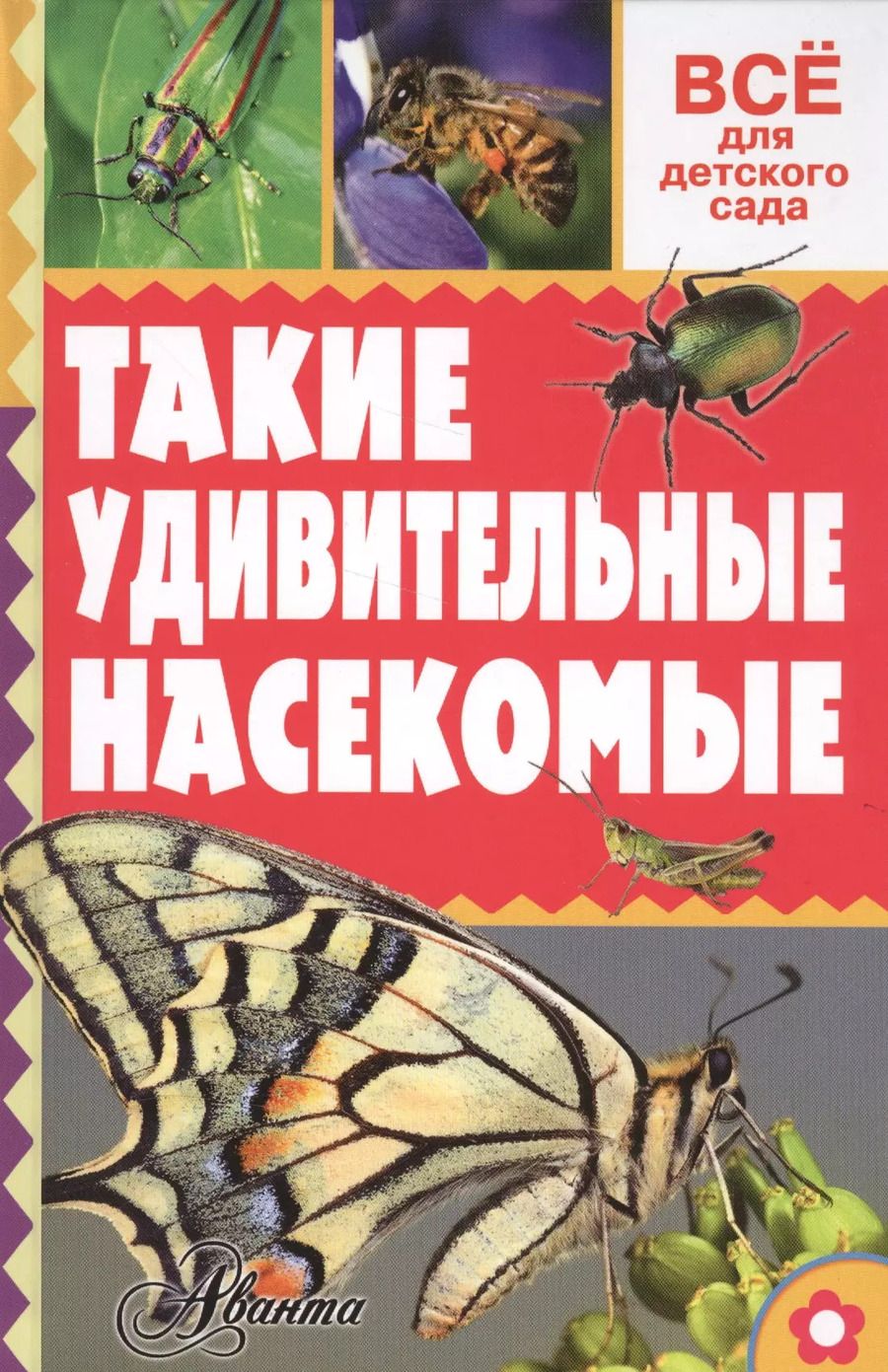 Обложка книги "Александр Тихонов: Такие удивительные насекомые"