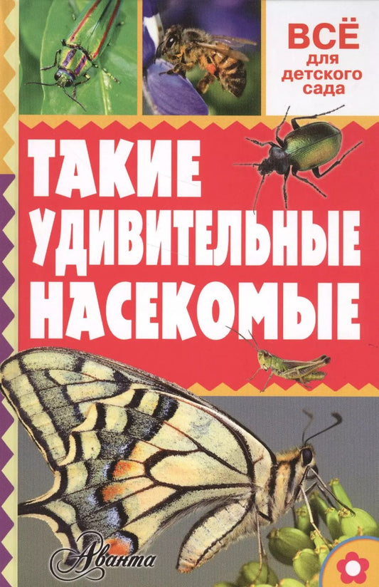 Обложка книги "Александр Тихонов: Такие удивительные насекомые"