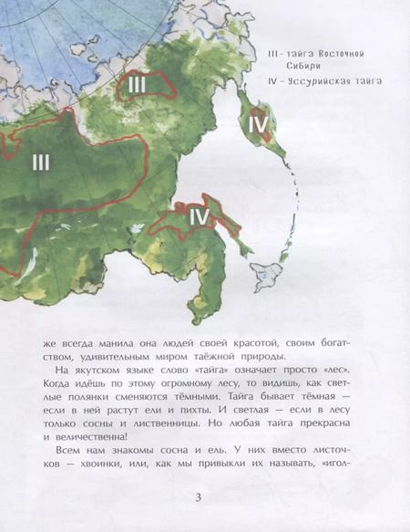 Фотография книги "Александр Ткаченко: Тайга. Удивительный лес"