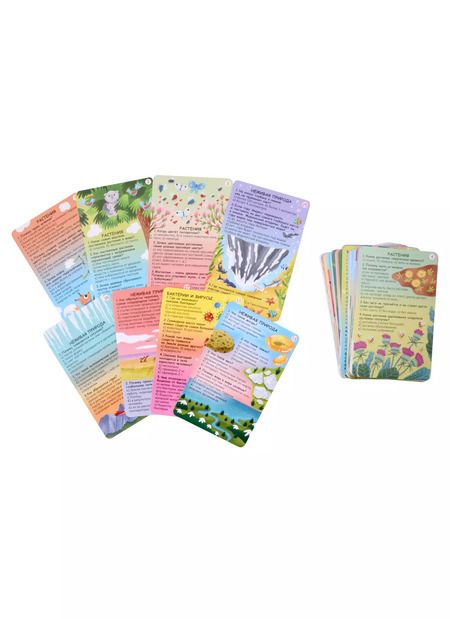 Фотография книги "Александр Толмачев: Вопросы и ответы о живой и неживой природе"