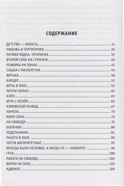 Фотография книги "Александр Викторович: Зона и воля Сережи Тольяттинского."