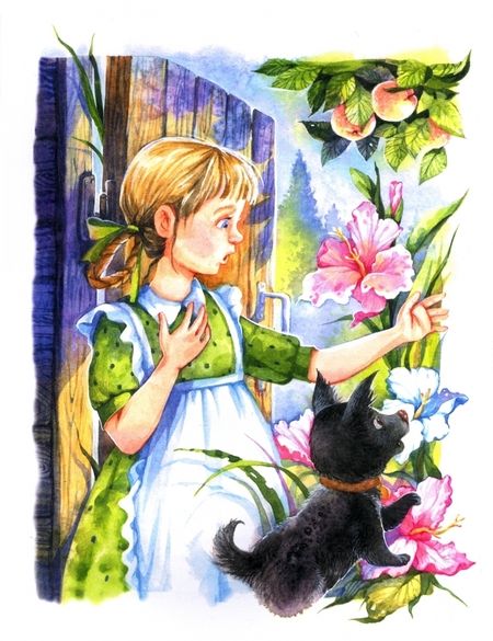 Фотография книги "Александр Волков: Волшебник Изумрудного города"