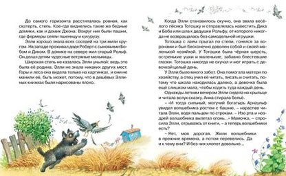 Фотография книги "Александр Волков: Волшебник Изумрудного города"