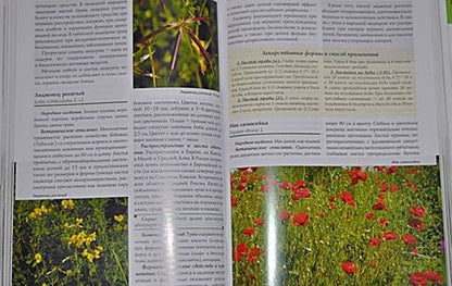 Фотография книги "Александр Ефремов: Лекарственные растения и грибы средней полосы России. Полный атлас-определитель"