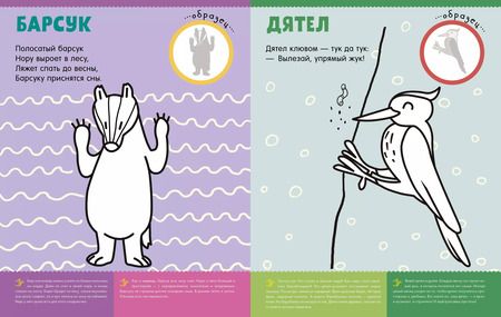 Фотография книги "Александра Бодрова: Первая раскраска с наклейками. Кто живет в лесу?"