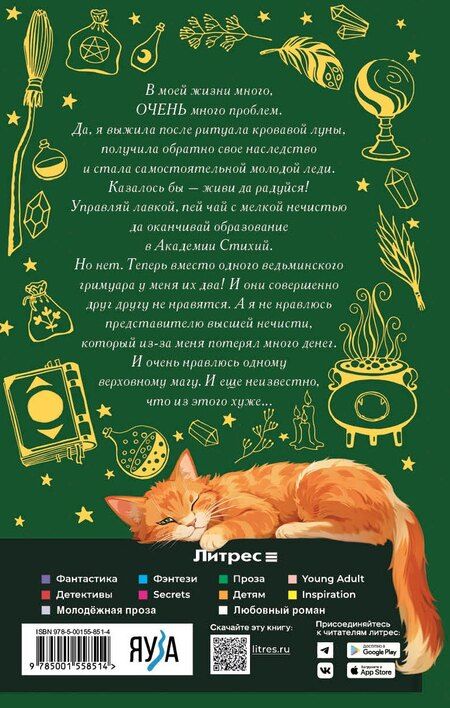 Фотография книги "Александра Черчень: Хозяйка магической лавки. Книга 3"