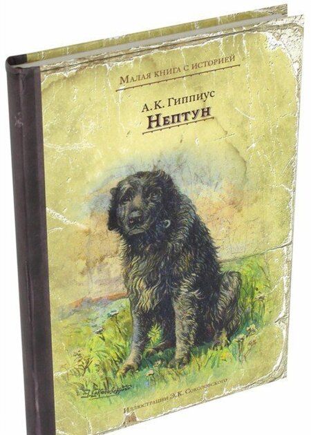 Фотография книги "Александра Гиппиус: Нептун"