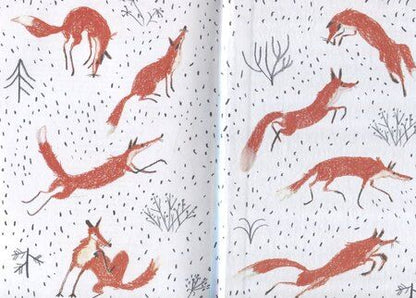 Фотография книги "Александра Лахтинен: Хвост Авроры"