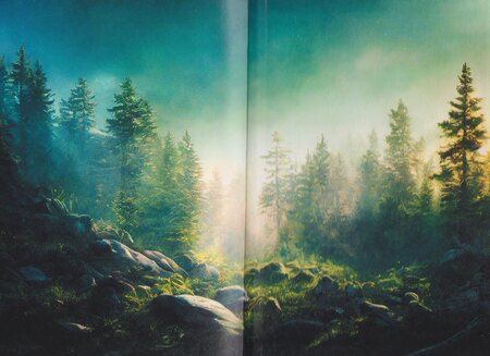 Фотография книги "Александра Лисина: Темные времена-1. Враг"