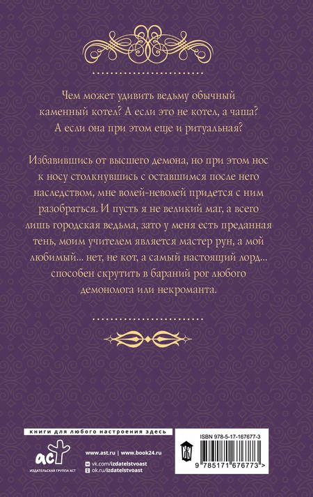 Фотография книги "Александра Лисина: Ведьма, маг и каменный котел"