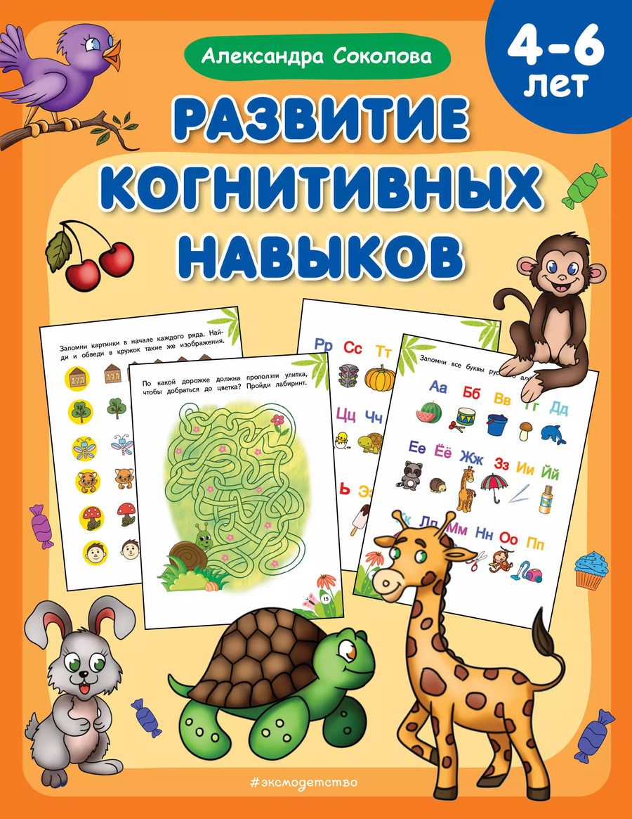Обложка книги "Александра Соколова: Развитие когнитивных навыков"