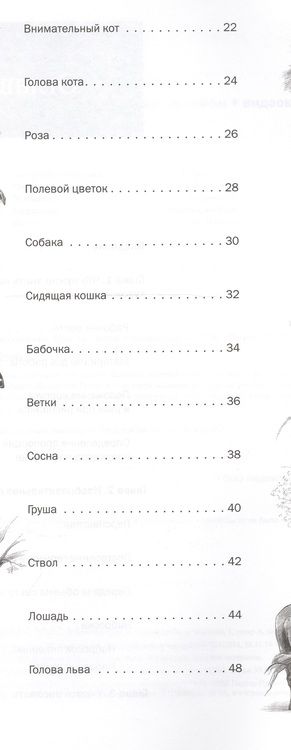 Фотография книги "Александра Тимохович: Самоучитель по рисованию.Шаг за шагом + видеокурс"