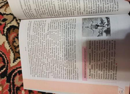 Фотография книги "Александрова, Аристова, Беляева: Родная русская литература. 8 класс. Учебное пособие"