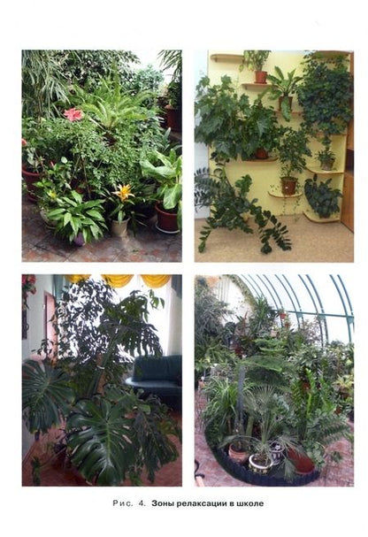 Фотография книги "Александрова, Болгова: Культура здоровья человека. 8 класс. Практикум с основами экологического проектирования. ФГОС"