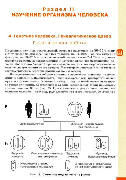 Фотография книги "Александрова, Болгова: Культура здоровья человека. 8 класс. Практикум с основами экологического проектирования. ФГОС"