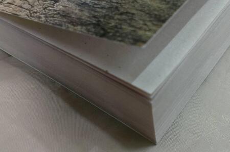 Фотография книги "Александрова: Листы каменной книги"
