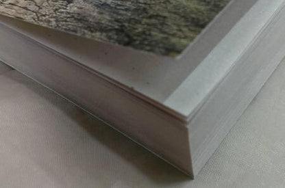 Фотография книги "Александрова: Листы каменной книги"