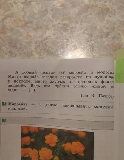 Фотография книги "Александрова, Вербицкая, Богданов: Русский родной язык. 3 класс. Учебник. ФГОС"