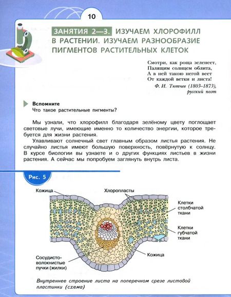 Фотография книги "Алексашина, Лагутенко: Естественно-научные предметы. Экологическая культура. 6 класс. Учебник. ФГОС"