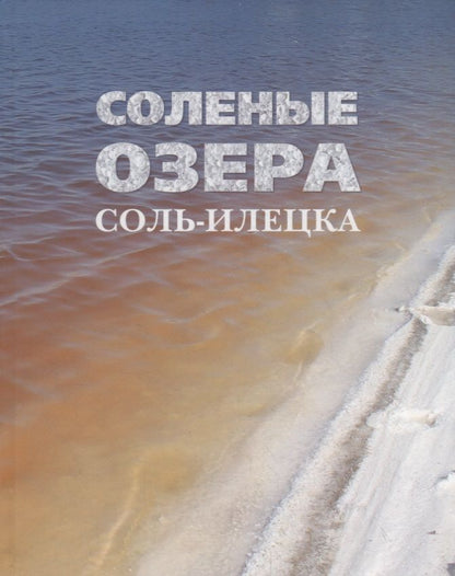 Обложка книги "Алексей Абдрахманов: Соленые озера Соль-Илецка"
