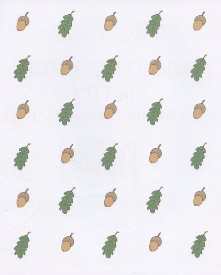 Фотография книги "Алексей Лисаченко: Невероятный Бултых и маленькая гостиница"