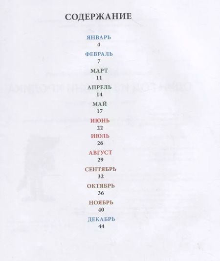 Фотография книги "Алексей Лисаченко: Один год из жизни кролика"